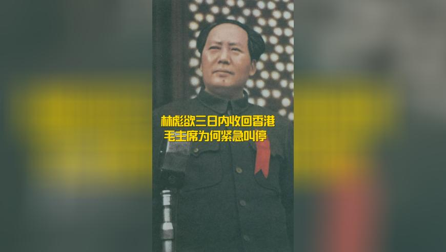 香港6合开彩开奖结果,德总理：万斯干预德政治不合适,完美答案解释落实_潮流版V8.50