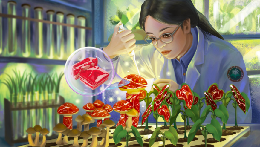 澳门正版118186资料,深圳将新增多家风投创投公司,机构预测与落实方法揭秘_体验版V10.33