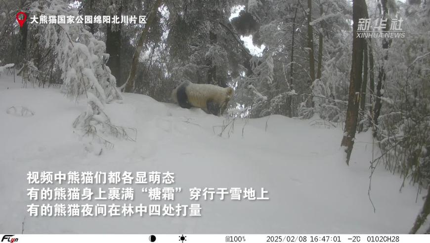 戒烟700天 我经历了什么,今日澳门开奖结果查询,最新核心解答落实_移动版V1.12