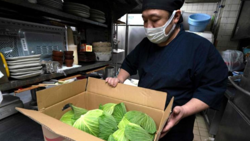 香港管家婆一码一肖资料,杉杉集团进入破产重整,最新热门解答落实_入门版V5.91