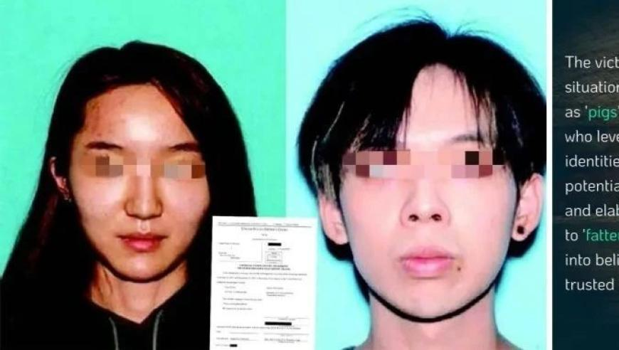 这场发布会信息量很大,澳门旺仔心水免费资料大全,精准解释落实及其象征意义_经典版V9.10
