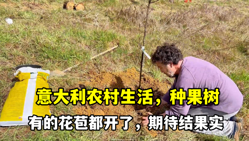 20多亩农田被人挖土售卖？当地回应,2O24年澳门管家婆资料大全,精准解释落实的人生哲理_交互版V12.9