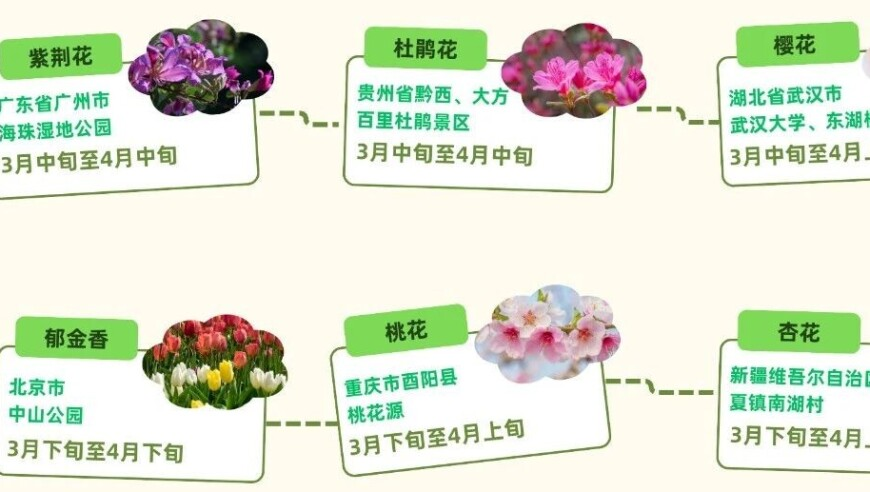 新澳门开奖结果2025开奖记录图片,蚂蚁集团调整薪酬政策,最新答案解释落实_模拟版V5.57