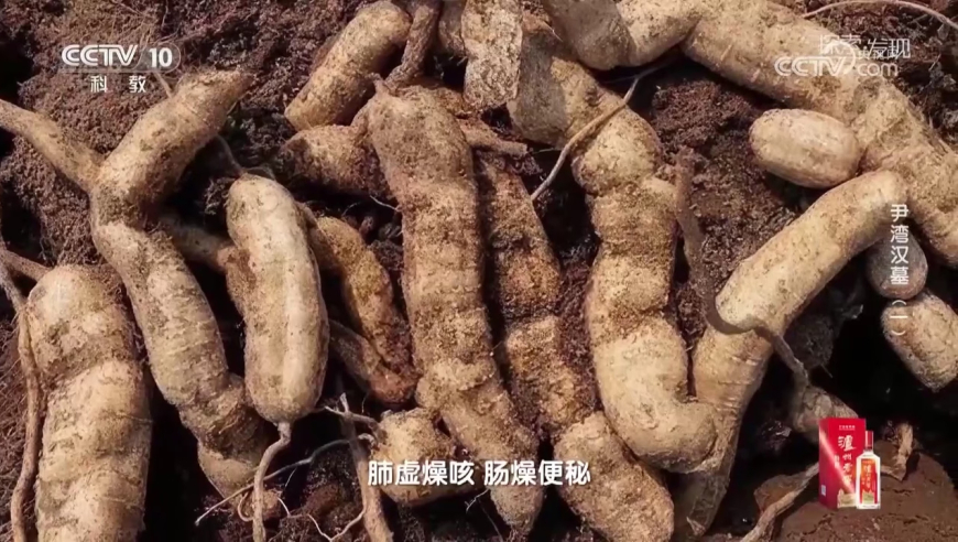 澳门管家婆一肖一码免费,男子减肥做20个俯卧撑后“肺炸了”,决策资料解释落实_模拟版V13.3